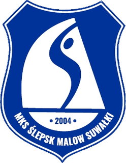 Ślepsk Malow Suwałki