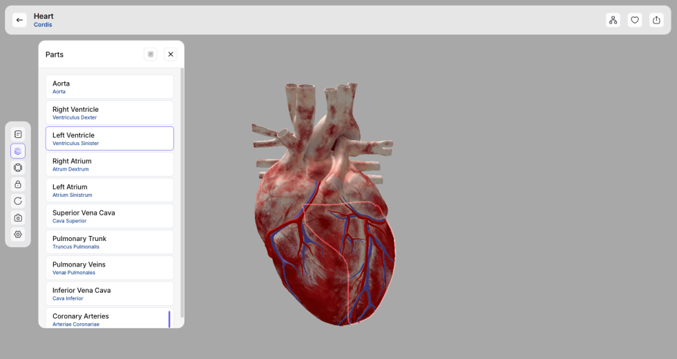 Model serca z listą części w interfejsie Corinth 3D